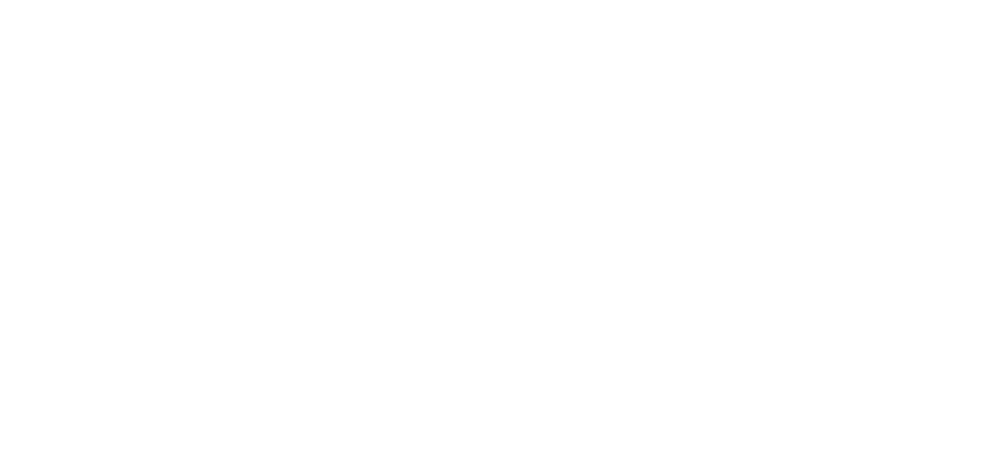Alisa.Pankki.Primary.Logo.White.PNG.1000px